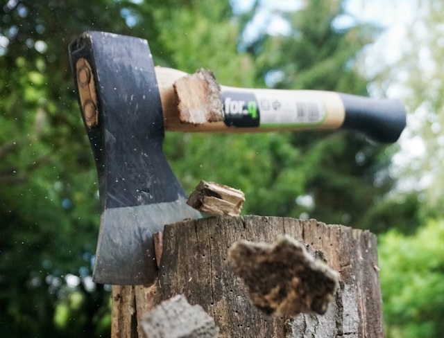 Professional Tree Removal Services in Sterling Heights, MI
