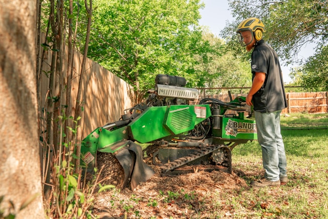 Stump Grinding vs. Stump Removal: What Sterling Heights Property Owners Need to Know
